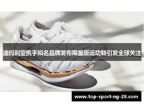 迪玛利亚携手知名品牌发布限量版运动鞋引发全球关注 迪玛利亚携手知名品牌发布限量版运动鞋引发全球关注