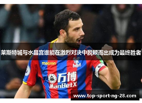 莱斯特城与水晶宫谁能在激烈对决中脱颖而出成为最终胜者