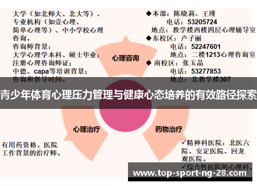 青少年体育心理压力管理与健康心态培养的有效路径探索 青少年体育心理压力管理与健康心态培养的有效路径探索